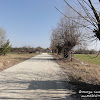 dsc07460.jpg