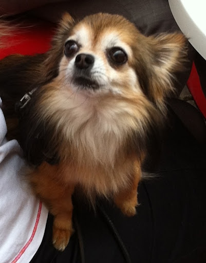 hej pa dej! 
That's how humans say 'hey there!' in Sweden