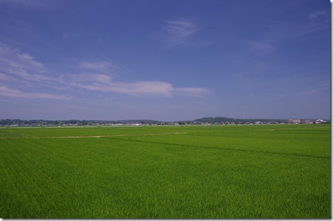IMGP4635 IMGP4635