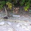 2007 (7).JPG