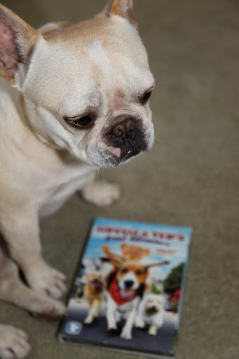 What's this Franny?  It looks like a book, but it doesn't seem to open like a book.