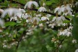 DSC08127.JPG