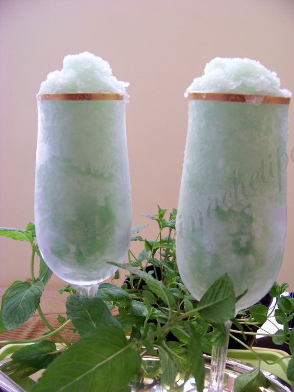 [sorbetto%2520alla%2520menta%2520ricetta%2520%252810%2529%255B4%255D.jpg]