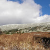 DSCN2927.jpg