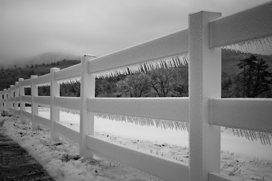 _MG_5155.jpg