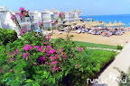 ���� 11 Beirut
