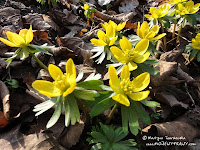 dsc07143.jpg