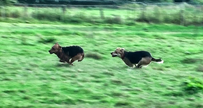 [20130927153238-%252812%2529%255B3%255D.jpg]