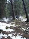 PA230158.JPG