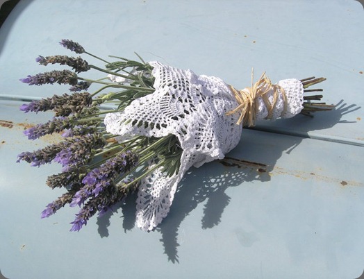 lavander  green and bloom