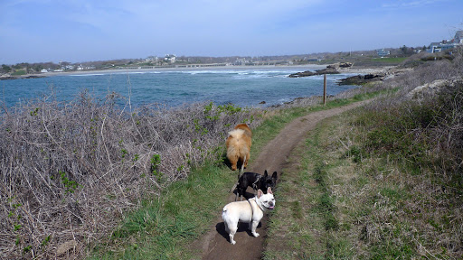 G.K.!  Better be careful what you sniff and put your face near along this walk!  Francesca spotted some poison ivy!