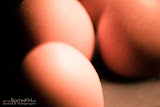 IMG_1957_BartusKN.nl.jpg