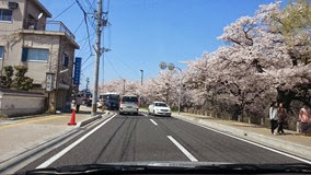 日本自駕遊全攻略_2