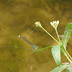 P1040708
