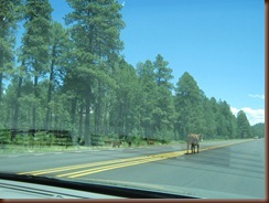 IMG_3883 IMG_3883
