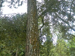 DSCN0212 DSCN0212