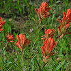 DSC_0081.JPG