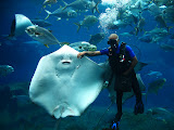 South Africa - 077.JPG