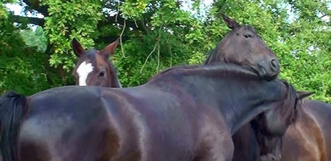 [20140911105813-%25281%2529%255B4%255D.jpg]