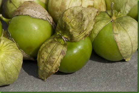 Tomatillo Verde Gigante Tomatillo Verde Gigante