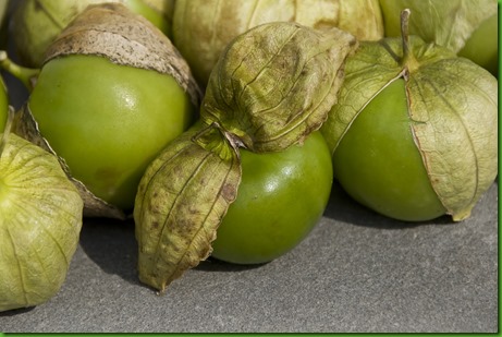 Tomatillo Verde Gigante