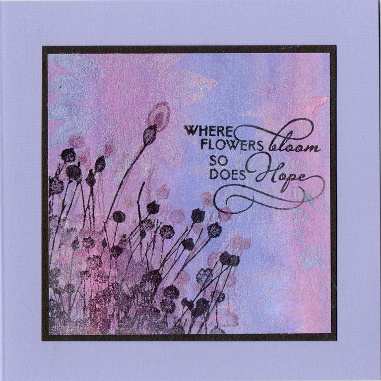[where%2520flowers%2520bloom%255B4%255D.jpg]