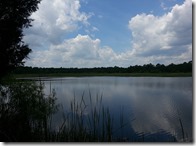 Fishhawk Pond