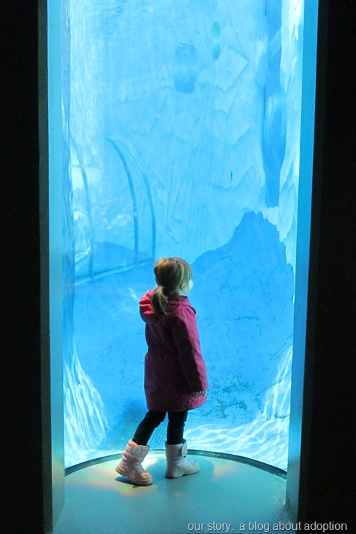 [IMG_3942%255B10%255D.jpg]