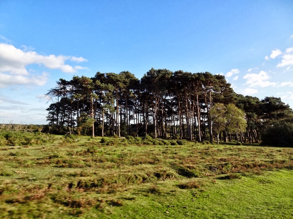 [DSC00527-1200x8975.jpg]