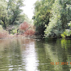 DSCN3001.JPG