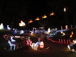 xmas decs 025