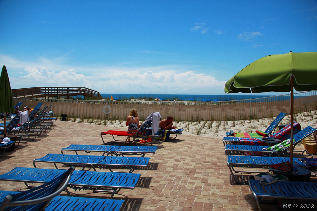 [IMG_72663.jpg]