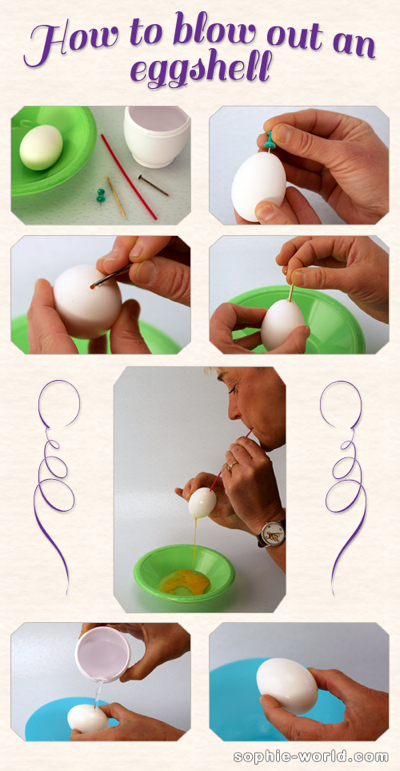 Blown out eggs