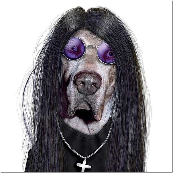 perros dsifrazados (8)