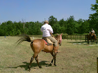 PICT0365.JPG