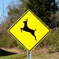 deer_signs