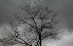 IMG_1559