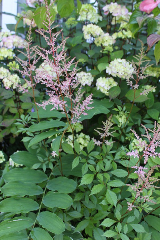 [054%255B6%255D.jpg]