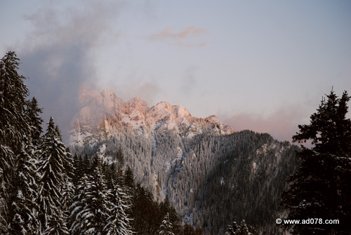 DSC_2267.jpg