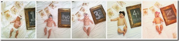 5 month collage 5 month collage