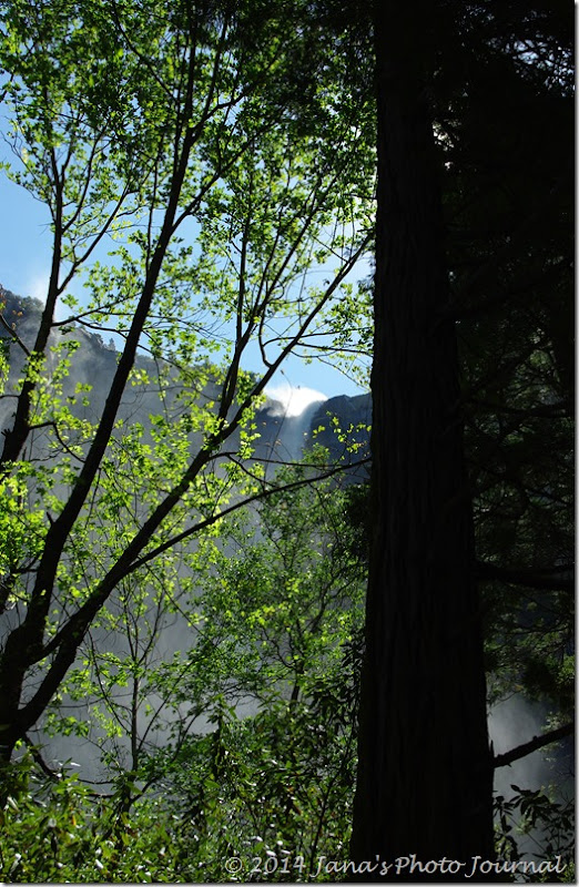 Bridalveil Fall Bridalveil Fall