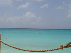 DSC01555.JPG