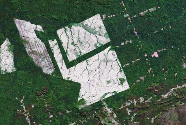 Satellite view of clearcut deforestation in Brazil, courtesy of Google Earth, via mongabay.com.