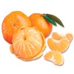 [tangerina-pai-comeca-o-comeco%255B8%255D.jpg]