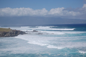 DSC_0610.JPG