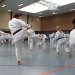 H25D2857.JPG