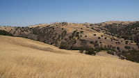 DSC02957.jpg