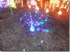 DSCF1016 DSCF1016