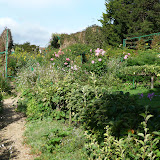P1040001.JPG
