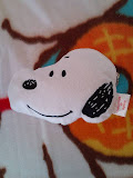 misdo1112316-s.JPG